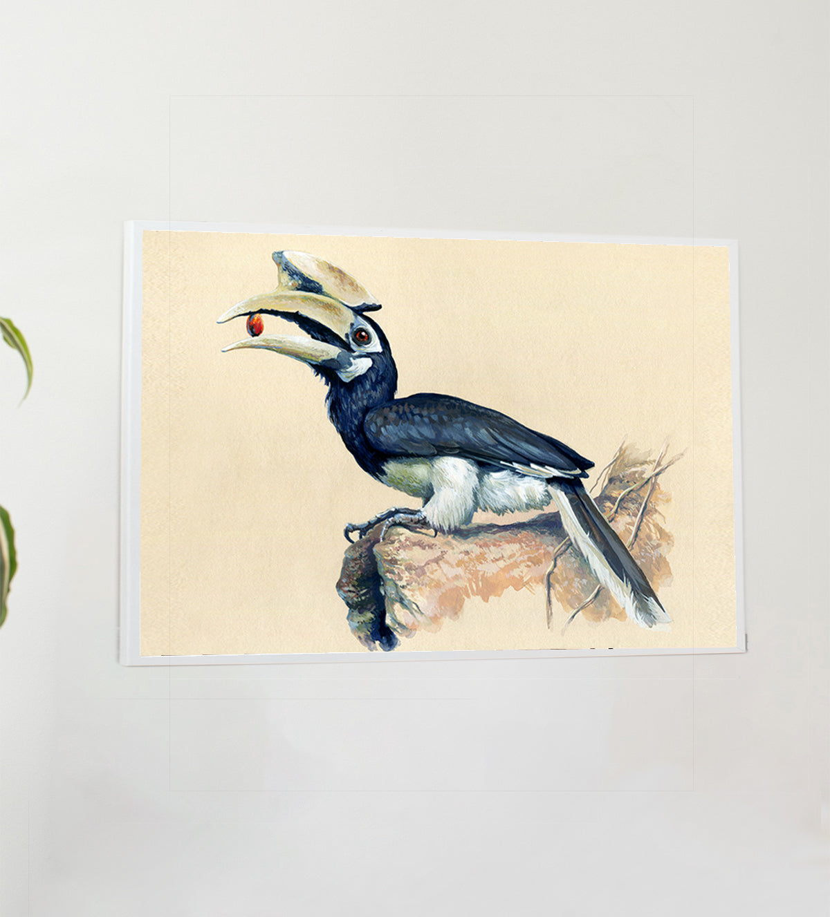 painting of a striking hornbill perched on a rock - Aartaa decor