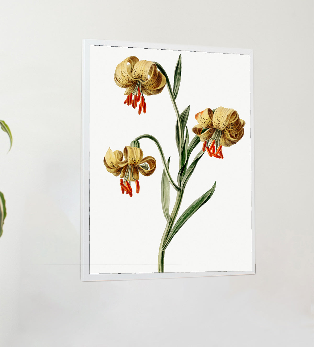 Sets of three Botanic Flower of vintage style - Aartaa decor