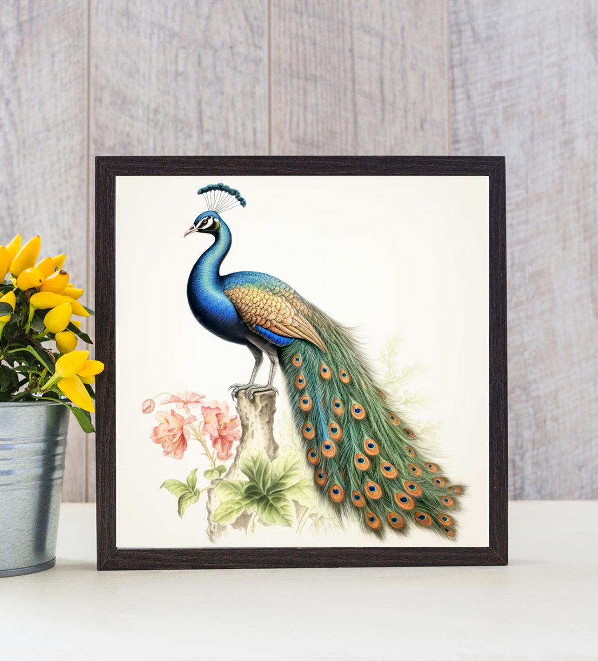 majestic peacock in all its glory - Aartaa decor