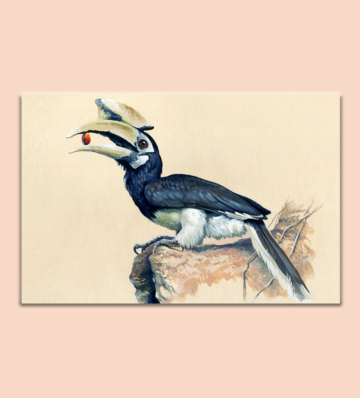 painting of a striking hornbill perched on a rock - Aartaa decor