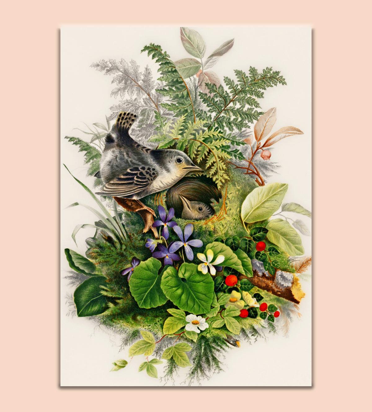 Feathered HavenBird in a Nest l Nurturing Comfort  l A Home Among the Blooms - Aartaa decor