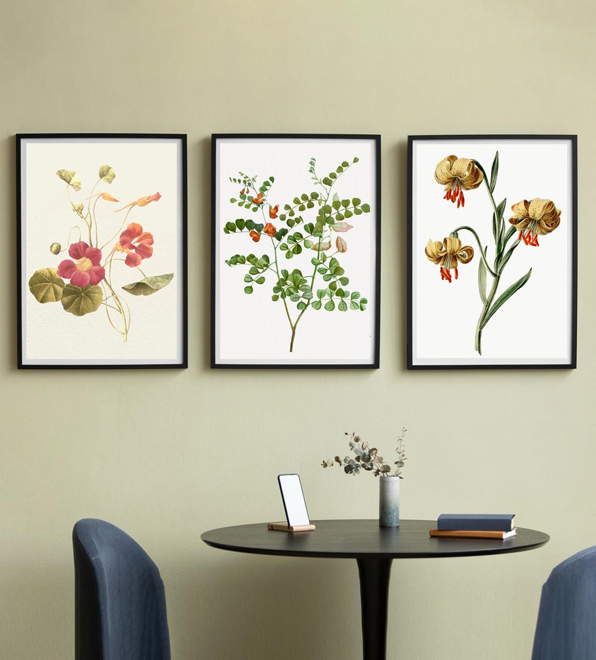 Sets of three Botanic Flower of vintage style - Aartaa decor