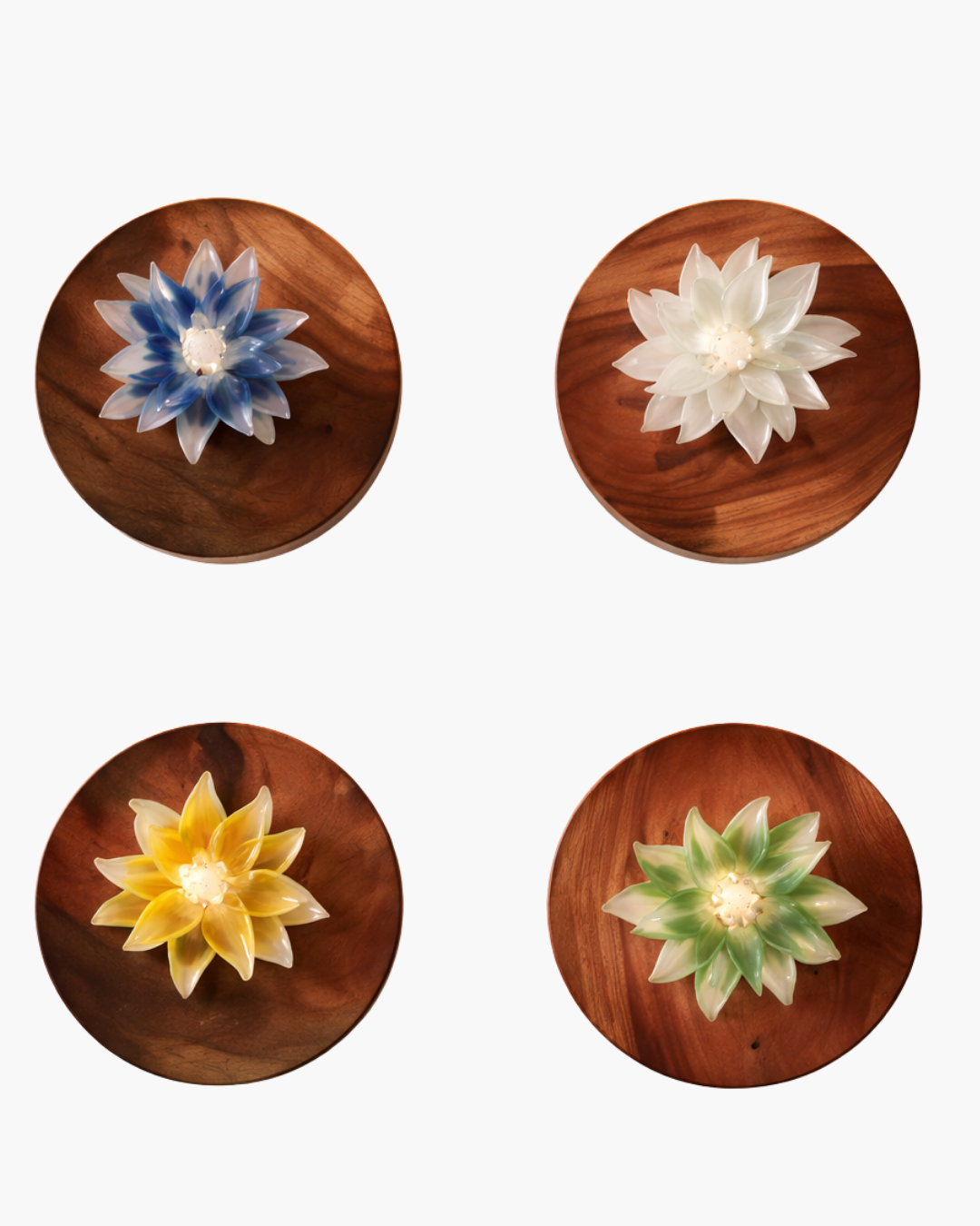 Padma Aura Wall Light - Aartaa decor